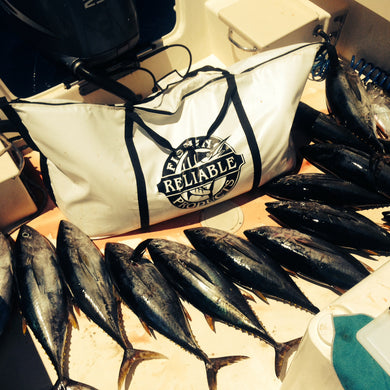 eight caught fish next to insulated fish kill bag by an outboard motor