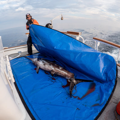 Best Fishing Kill Bag Options for SoCal